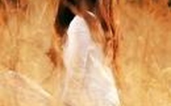 99精品丰满人妻无码A片